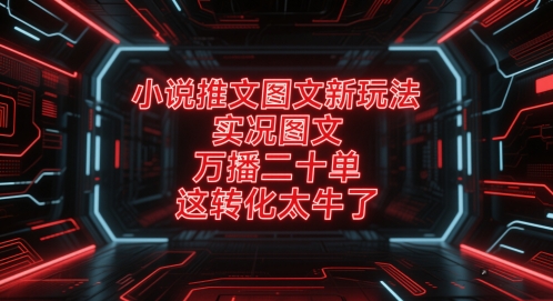 小说推文图文新玩法，实况图文，万播二十单，这转化太牛了！-599资源坊