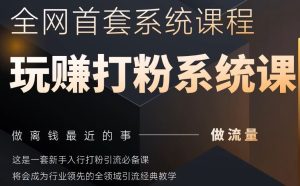 2025行业首套全网全域打粉系统神课,做流量做离钱最近的事,一套新手入行打粉引流必备课-599资源坊