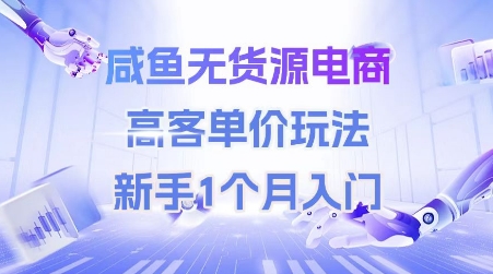 咸鱼无货源电商，高客单价玩法，新手1个月入门-599资源坊