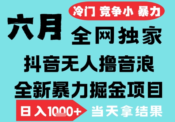 2025年6月高爆抖音无人直播最新撸音浪掘金项目，无脑日入1k+，低门槛小白可做，可矩阵放大【揭秘】-599资源坊