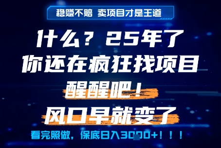 什么？25年你还在疯狂找项目做，醒醒吧，看完这些你全都懂了！【揭秘】-599资源坊