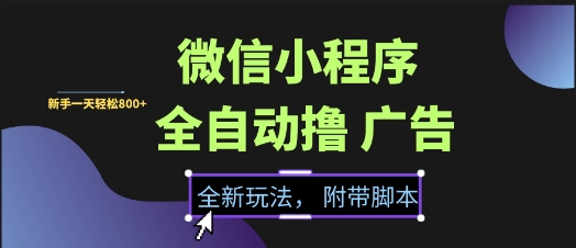 微信小程序全自动撸广告项目，彻底解决没流量的问题，新手一天8张+【揭秘】-599资源坊