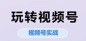 玩转视频号,视频号实战系列课-599资源坊