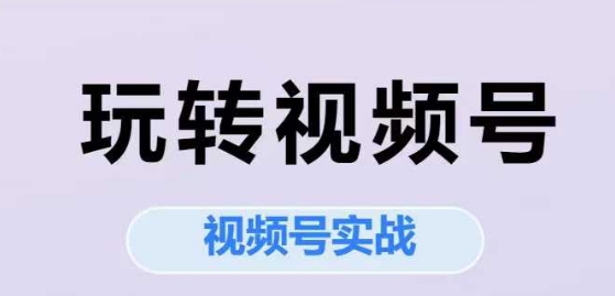 玩转视频号，视频号实战系列课-599资源坊