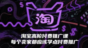 淘宝高阶付费推广课,每个卖家都应该学点付费推广-599资源坊