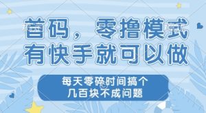 首码零撸项目,有快手就可以做,每天业务时间搞个几张不是问题【揭秘】-599资源坊