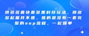 拼多多最快最多黑科技玩法,拼多多起量并不难,难的是没有一套完整的sop流程,一起爆单(更新6月)-599资源坊