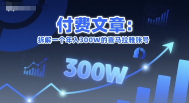 付费文章：拆解一个年入300W的喜马拉雅账号-599资源坊