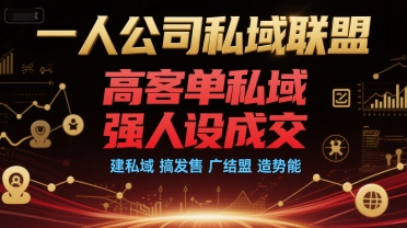 一人公司私域联盟，高客单私域，强人设成交，建私域 搞发售 广结盟 造势能-599资源坊