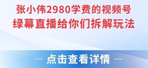 张小伟2980付费额视频号绿幕直播给你们拆解玩法-599资源坊