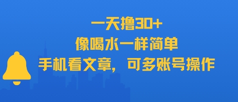 一天撸30+，像喝水一样简单，手机看文章，可多账号操作-599资源坊