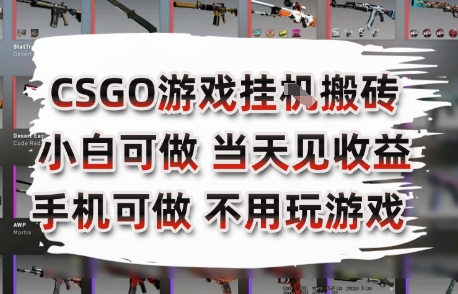 CSGO游戏挂G搬砖，小白纯手机即可操作，不用电脑打游戏，日入3张+，副业网创项目【揭秘】-599资源坊