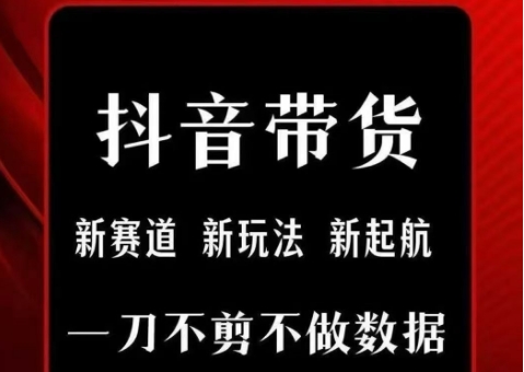 抖音短视频一刀不剪带货，不剪辑，不直播，每天发个视频，等着出单获取带货佣金-599资源坊