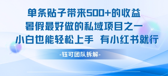 单条贴子带来5张的收益，暑假最好做的私域项目之一，小白也能轻松上手，有小红书就行-599资源坊