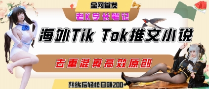 海外tiktok小说推文暴力项目，高停留率，高转化率，上手后一天搞顿饭钱不是问题-599资源坊