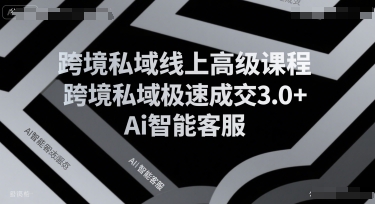跨境私域线上高级课程，跨境私域极速成交3.0+Ai智能客服-599资源坊