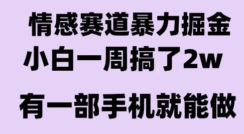 情感暴力掘金项目，新人操作一周挣了2W，长期稳定小白可做【揭秘】-599资源坊