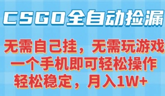 CSGO自动捡漏项目，最新独家玩法，一个手机可操作，新手小白轻松月入1W+，操作简单易上手【揭秘】-599资源坊