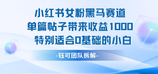 小红书女粉黑马赛道单篇帖子带来收益1k+，特别适合0基础的小白-599资源坊
