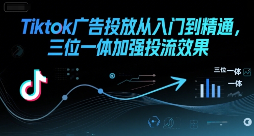 Tiktok广告投放从入门到精通，三位一体加强投流效果-599资源坊