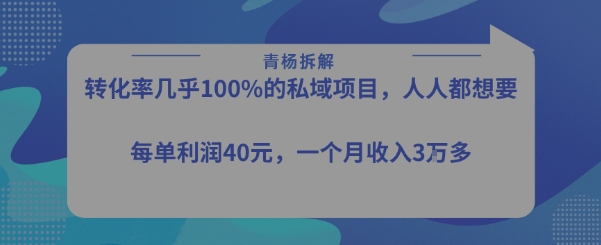 转化率最高的私域项目，每单利润40-50米，月入过1w-599资源坊