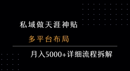 私域做天涯神贴 多平台布局 月入5k+详细流程拆解-599资源坊