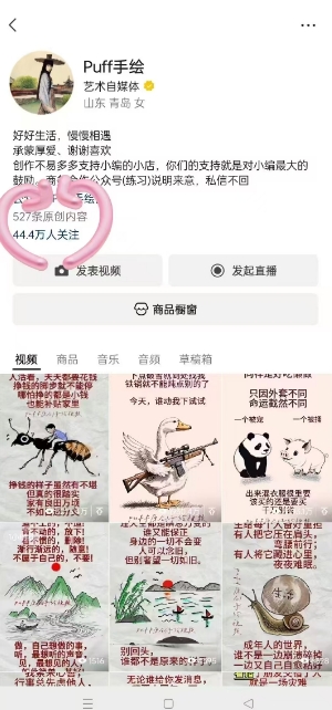 Puff手绘视频号分成项目，三天过分成计划，简单易上手，适合新手-599资源坊