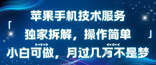 苹果手机技术服务，独家拆解，操作简单，小白可做，月过1W不是梦-599资源坊