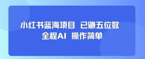 小红书蓝海项目，全程AI，操作简单，已挣五位数-599资源坊