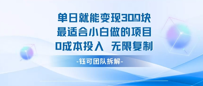 单日就能变现3张最适合小白做的项目0成本投入 无限复制-599资源坊