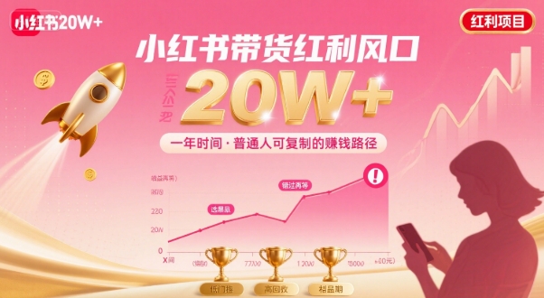 一年时间靠小红书带货项目年入20w+，最不能错的大红利项目-599资源坊