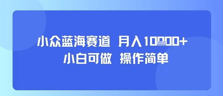 小众蓝海赛道，小白可做，操作简单，每天30分钟，月入1W+-599资源坊