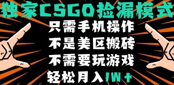 CSGO自动捡漏项目，最新独家玩法，不是美区搬砖，不需要了解和玩游戏，新手小白轻松月入1W+【揭秘】-599资源坊