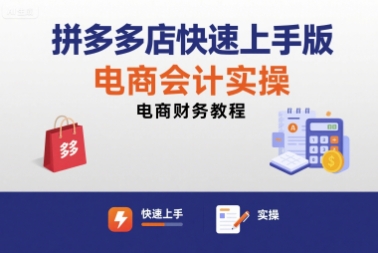 拼多多店快速上手版电商会计实操-电商财务教程-599资源坊