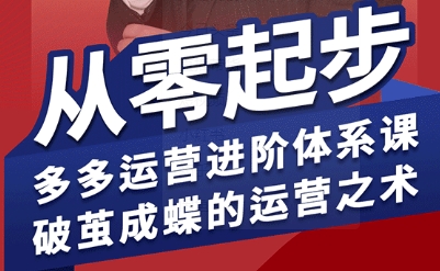 拼多多运营进阶系统课，从零起步，多多运营进阶体系课，破茧成蝶的运营之术-599资源坊