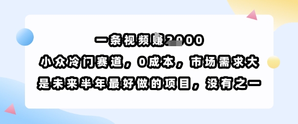 一条视频挣1k，小众冷门赛道，0成本，市场需求大，是未来半年最好做的项目，没有之一-599资源坊