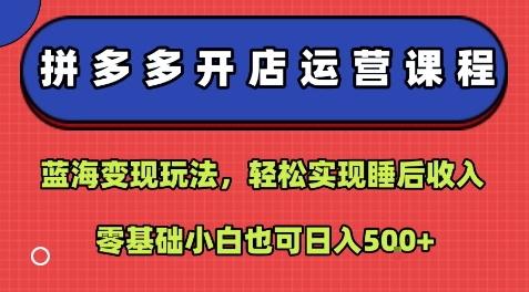 拼多多开店运营课程：蓝海变现玩法，轻松实现睡后收入，零基础小白也可日入5张-599资源坊