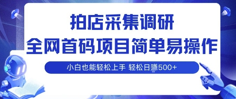 拍店采集调研，全网首码项目，简单易操作， 小白也能轻松上手，多账号操作，轻松日入5张【揭秘】-599资源坊