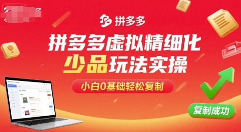 拼多多虚拟精细化少品玩法实操，小白0基础轻松复制-599资源坊