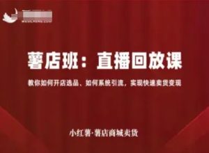 小红薯薯店商城卖货直播回放课，教你如何开店选品、如何系统引流，实现快速卖货变现-599资源坊