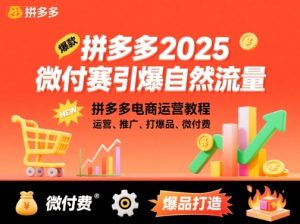 拼多多2025微付赛引爆自然流量，拼多多电商运营教程，运营、推广、打爆品、微付费-599资源坊