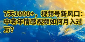 7天收益1k+，视频号新风口：中老年情感视频如何月入过W?-599资源坊