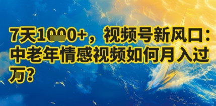 7天收益1k+，视频号新风口：中老年情感视频如何月入过W?-599资源坊