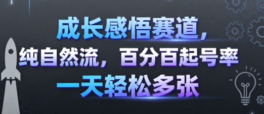 成长感悟赛道，纯自然流，百分百起号率 一天轻松多张-599资源坊