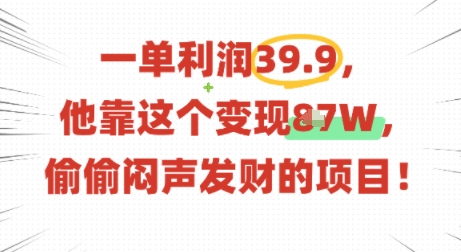 一单利润39.9，有人靠这个变现几十个，偷偷闷声发财的项目-599资源坊