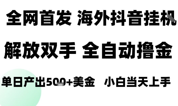 海外抖音无人直播，单日产出1.5k+，长期稳定，新手可玩，无脑操作【揭秘】-599资源坊