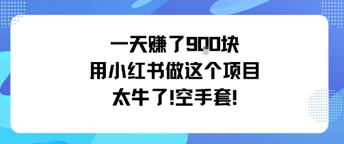 一天挣了9张用小红书做这个项目太牛了，空手套-599资源坊