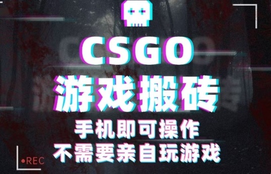 CSGO游戏挂G捡漏，单日扫货5张+，年底小高峰上车可吃肉，手机即可操作，兼职副业创业网创【揭秘】-599资源坊