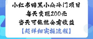小红书暗黑小众冷门项目每天变现2张当天可能就会有收益-599资源坊