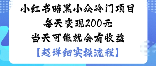 小红书暗黑小众冷门项目每天变现2张当天可能就会有收益-599资源坊